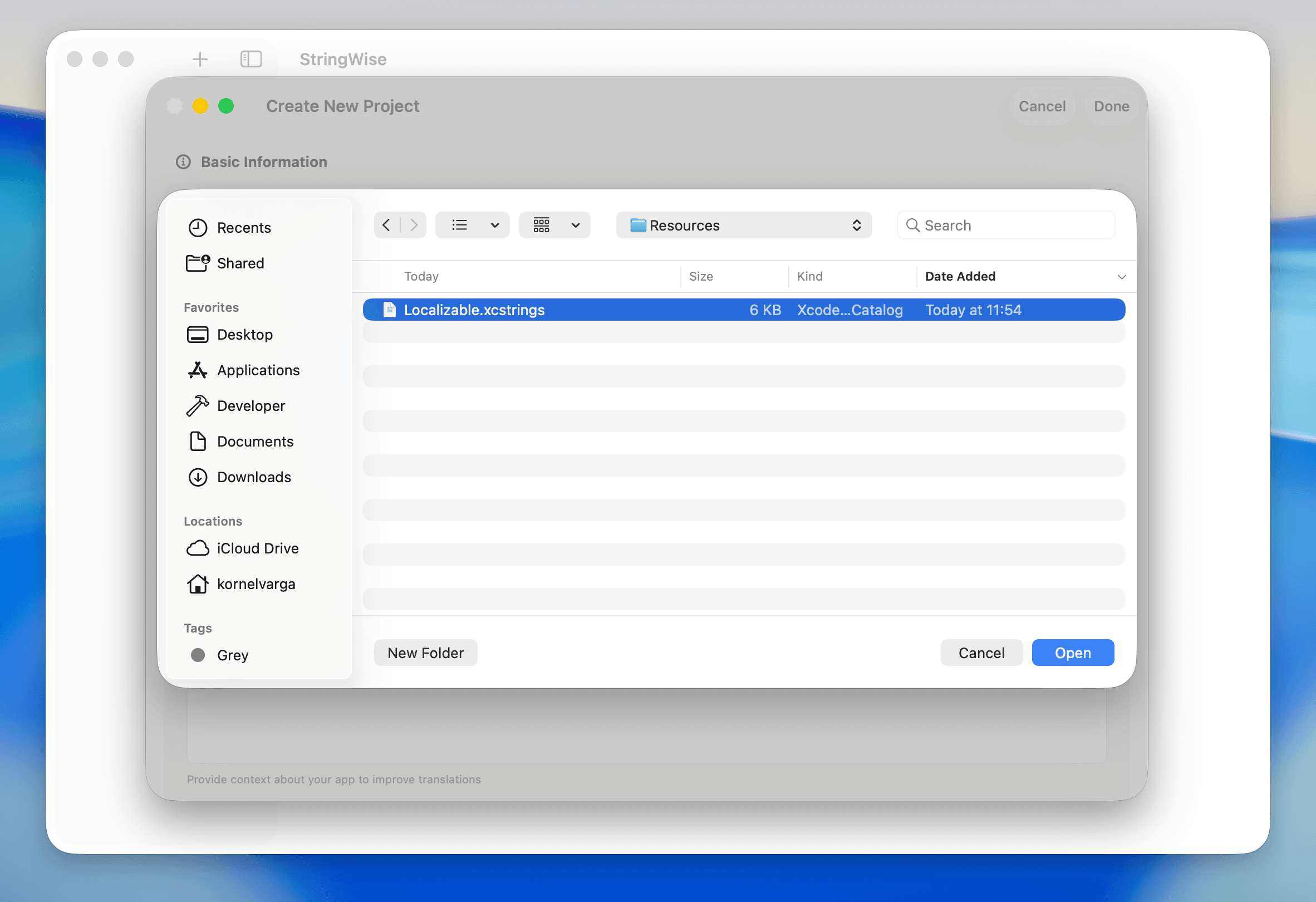 StringWise import dialog showing project folder selection